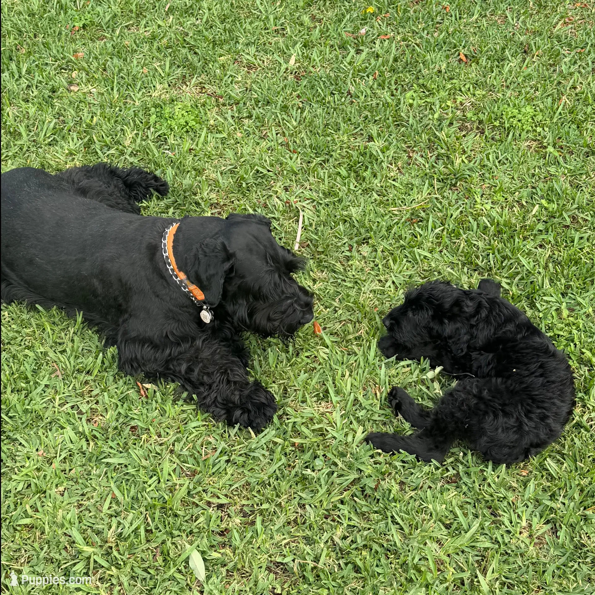 processed/e69686dd-881f-46cc-930e-d04e128aebde/facility/7cdfacc5-53d3-44ec-a70f-8b413cf1910e