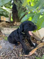 processed/e69686dd-881f-46cc-930e-d04e128aebde/facility/a2d9e20c-d3b3-431c-bc48-3d71ed095537