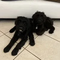 processed/e69686dd-881f-46cc-930e-d04e128aebde/facility/b1ec6a02-41aa-4be5-b297-77ff26f036ec