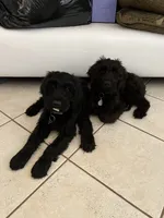 processed/e69686dd-881f-46cc-930e-d04e128aebde/facility/b1ec6a02-41aa-4be5-b297-77ff26f036ec