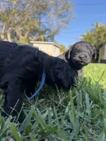 processed/e69686dd-881f-46cc-930e-d04e128aebde/facility/c1740fed-e9ee-477c-a97c-049a84fbaa8a