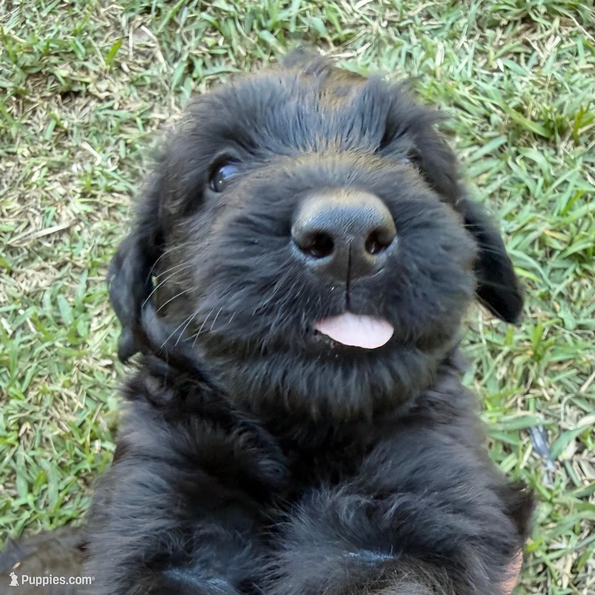 processed/e69686dd-881f-46cc-930e-d04e128aebde/facility/d761c580-0ed6-4926-a925-385ce0fe533b