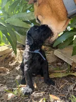 processed/e69686dd-881f-46cc-930e-d04e128aebde/listing/840ae3e2-cbe2-4cdc-b7ed-5a868096b1c3/1ebf3b29-51b0-4578-b835-ded5e5925bbb