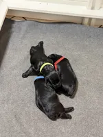 processed/e69686dd-881f-46cc-930e-d04e128aebde/listing/840ae3e2-cbe2-4cdc-b7ed-5a868096b1c3/286e2ab5-8b39-4b04-a4a8-9cab529a0864