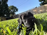 processed/e69686dd-881f-46cc-930e-d04e128aebde/listing/840ae3e2-cbe2-4cdc-b7ed-5a868096b1c3/807651b9-9b27-4b05-9ea3-1e25004331da