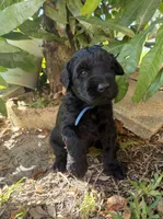 processed/e69686dd-881f-46cc-930e-d04e128aebde/listing/840ae3e2-cbe2-4cdc-b7ed-5a868096b1c3/f4b08d20-47bd-48fd-8230-ea7518a0a2c5