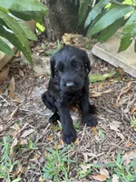 processed/e69686dd-881f-46cc-930e-d04e128aebde/listing/cce285d4-7c34-489c-94ec-3fb07f7ac994/0fe9eb6a-05e4-4244-90a1-0653f1658a58