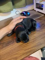 processed/e69686dd-881f-46cc-930e-d04e128aebde/listing/cce285d4-7c34-489c-94ec-3fb07f7ac994/f1b8bad1-0d9c-4cb4-a9e0-68abdf1ff84e