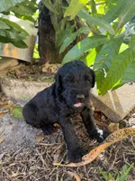 processed/e69686dd-881f-46cc-930e-d04e128aebde/listing/e9240fff-4665-4a1d-a729-1854040f40e1/1bd930a2-fdf5-444d-91fb-44e7dc76e786