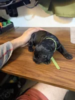 processed/e69686dd-881f-46cc-930e-d04e128aebde/listing/e9240fff-4665-4a1d-a729-1854040f40e1/787cf3b6-e40c-4f67-8a48-5ad98a0db5e3