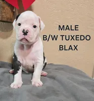 processed/e69f765b-4cdc-4d79-ae12-4af008764b2e/facility/03ac7a9b-f3c5-4ca5-a92f-a28020e49927