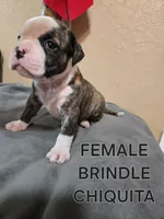 processed/e69f765b-4cdc-4d79-ae12-4af008764b2e/facility/1d42442a-8715-4746-a5bd-21988e6f7210