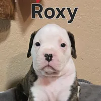 processed/e69f765b-4cdc-4d79-ae12-4af008764b2e/facility/281d4e40-92de-4da8-acb0-05a46dbce9c0