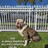 processed/e69f765b-4cdc-4d79-ae12-4af008764b2e/facility/2cbfbc50-cee1-4588-ac02-058cde9ac230