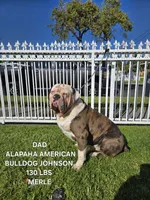 processed/e69f765b-4cdc-4d79-ae12-4af008764b2e/facility/2cbfbc50-cee1-4588-ac02-058cde9ac230