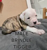 processed/e69f765b-4cdc-4d79-ae12-4af008764b2e/facility/968338aa-7375-460a-9760-7996db1d14aa