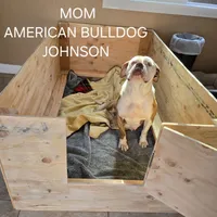 processed/e69f765b-4cdc-4d79-ae12-4af008764b2e/facility/d68e8974-9203-4892-a96e-eedfe3086a4f