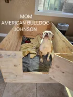 processed/e69f765b-4cdc-4d79-ae12-4af008764b2e/facility/d68e8974-9203-4892-a96e-eedfe3086a4f