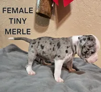 processed/e69f765b-4cdc-4d79-ae12-4af008764b2e/facility/f7f17cbe-0f39-4d84-8278-d4f81d4d5600