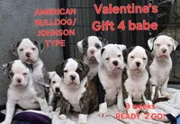 processed/e69f765b-4cdc-4d79-ae12-4af008764b2e/listing/70346d8a-b36a-4e7d-b817-7caf44644b71/e2885128-d6f0-4e92-962b-bf9cd42e44cb