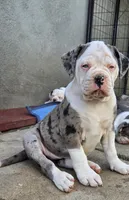 processed/e69f765b-4cdc-4d79-ae12-4af008764b2e/listing/bf1c0f1a-2d64-42c6-99d6-c7a1ac764d01/2414c802-0e18-477e-9673-a06881c07df7