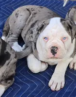 processed/e69f765b-4cdc-4d79-ae12-4af008764b2e/listing/bf1c0f1a-2d64-42c6-99d6-c7a1ac764d01/c9e2a394-3e70-4092-9498-8260b0758ad0