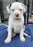 processed/e69f765b-4cdc-4d79-ae12-4af008764b2e/listing/f78bac80-6d17-490a-919b-a8716eb52954/85914e96-6872-47a3-a8c8-97a5611566e4