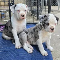 processed/e69f765b-4cdc-4d79-ae12-4af008764b2e/listing/f78bac80-6d17-490a-919b-a8716eb52954/9b27aa2f-fdbb-471b-9da8-1c5edfc2af74