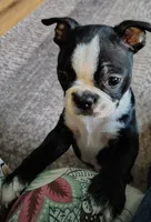 processed/e6aa5de6-194c-4c70-b387-e8877c313a22/listing/48499dc4-2d9c-49a5-a6cc-0653c8cf9e39/9ff02779-0e93-47b4-bd79-572f9067e438