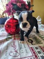 processed/e6aa5de6-194c-4c70-b387-e8877c313a22/listing/48499dc4-2d9c-49a5-a6cc-0653c8cf9e39/ffa26310-8b80-4323-a011-1272047e3416