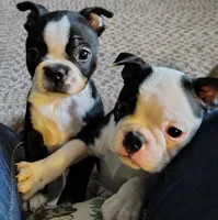 processed/e6aa5de6-194c-4c70-b387-e8877c313a22/listing/fd4d73e5-e0ce-41f9-9e41-c9cf0ca266ce/d0810dc9-a7ce-4998-8aa3-6d473f8b411e