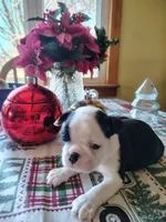 processed/e6aa5de6-194c-4c70-b387-e8877c313a22/listing/fd4d73e5-e0ce-41f9-9e41-c9cf0ca266ce/d634976e-10a1-4765-ab55-346b65a2fe43