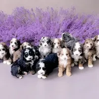 processed/e6b4053a-753f-45eb-9d86-d9ab1e654192/facility/b0837120-8ded-44eb-91da-1e34bbde9d77