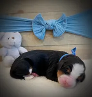 processed/e6b4053a-753f-45eb-9d86-d9ab1e654192/listing/289b2b63-8e87-4741-bcb5-b01542de2536/711e6378-5c1c-4ea8-b6a7-36143d988045