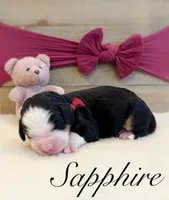 processed/e6b4053a-753f-45eb-9d86-d9ab1e654192/listing/327be847-7488-44d5-84f3-78980428d719/36d174ad-81b3-409d-9efe-de8367803881