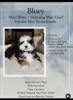 processed/e6b4053a-753f-45eb-9d86-d9ab1e654192/listing/3e253458-9559-4455-906f-3353f7ad1303/a199383c-be23-4486-934a-c0d07282a6fe