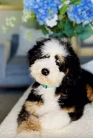 processed/e6b4053a-753f-45eb-9d86-d9ab1e654192/listing/3e253458-9559-4455-906f-3353f7ad1303/cd300df5-5ecd-41b9-b8d8-22b0b66650fa