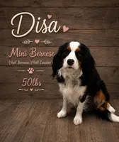 COUNTESS, a female Bernedoodle for sale in Salem, UT – 3 of 8