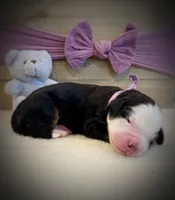 processed/e6b4053a-753f-45eb-9d86-d9ab1e654192/listing/cf22ef15-2330-4f37-afd5-b6ecf0eba4f4/52dc89ef-100e-47be-ae39-03bb95d65e09