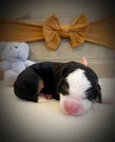 processed/e6b4053a-753f-45eb-9d86-d9ab1e654192/listing/dd807c89-4783-4a16-8e11-7733a92ca867/90028940-afb3-4214-a371-855b567e6440