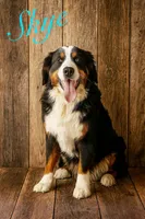 processed/e6b4053a-753f-45eb-9d86-d9ab1e654192/listing/dd807c89-4783-4a16-8e11-7733a92ca867/e3aa5889-afe1-4b9a-b0c8-fe15aef21940