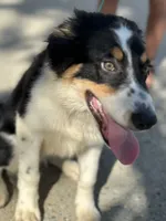 processed/e6b5b000-5f33-498c-a4c6-c57f9301f66f/listing/69c652ed-a317-4301-aa75-9c460bf63387/ac3fe94b-7d2c-463e-918c-e7e9d22b62d1