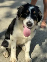 processed/e6b5b000-5f33-498c-a4c6-c57f9301f66f/listing/69c652ed-a317-4301-aa75-9c460bf63387/d56a3c04-7c86-4cf8-9bd8-0998fac66962