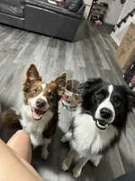 processed/e6b5b000-5f33-498c-a4c6-c57f9301f66f/listing/69c652ed-a317-4301-aa75-9c460bf63387/e1070c56-e81f-4887-96b4-fc513258bf54