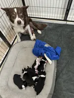 processed/e6b5b000-5f33-498c-a4c6-c57f9301f66f/listing/96d78cbe-fd99-419d-8541-df2c6be8c44b/6a311820-dcab-46ac-9239-6b51334ae889