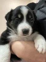 processed/e6b5b000-5f33-498c-a4c6-c57f9301f66f/listing/96d78cbe-fd99-419d-8541-df2c6be8c44b/6d52852a-5ef2-44f5-ac21-cdc0d245ff45