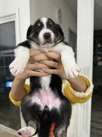 processed/e6b5b000-5f33-498c-a4c6-c57f9301f66f/listing/96d78cbe-fd99-419d-8541-df2c6be8c44b/86fa5d55-c4cc-4540-a103-80c68e59d635