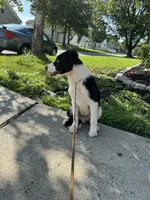 processed/e6b5b000-5f33-498c-a4c6-c57f9301f66f/listing/a4c7818a-ced9-4e83-9d19-3321586fba22/1ef748bc-9f3a-4f78-8347-85665ab2a7bf