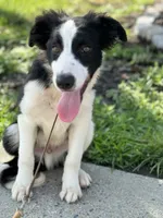 processed/e6b5b000-5f33-498c-a4c6-c57f9301f66f/listing/a4c7818a-ced9-4e83-9d19-3321586fba22/838a40ed-26fc-439c-a842-ba170e2ce9f8