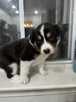 processed/e6b5b000-5f33-498c-a4c6-c57f9301f66f/listing/a5afcbce-b4c3-4e50-bb3c-ab1f8f51f68d/0995fab2-dc08-4114-95c9-8e1ee487fc4b